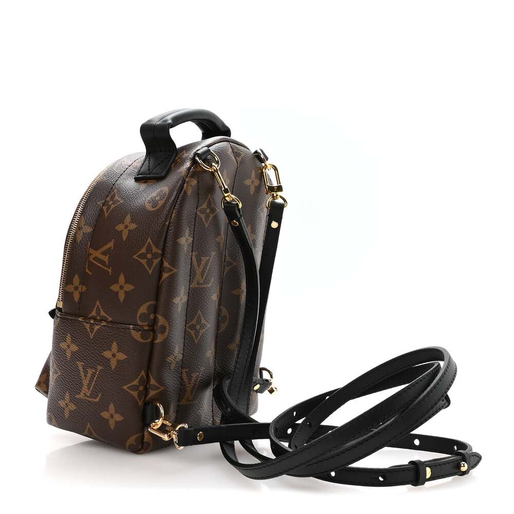 Louis Vuitton Palm Springs Backpack #262334L19B - Picture 3 of 10